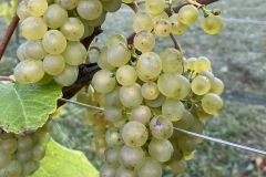 SETTEMBRE_2023-22