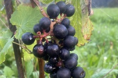 SETTEMBRE_2023-23