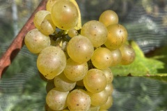 SETTEMBRE_2023-26