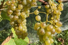 SETTEMBRE_2023-27