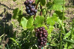 SETTEMBRE_2023-3