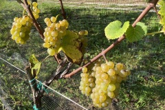 SETTEMBRE_2023-31