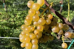 SETTEMBRE_2023-6