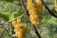 SETTEMBRE_2023-7