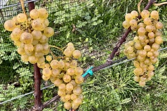 SETTEMBRE_2023-8