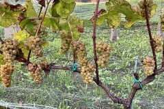 SETTEMBRE_2023-9