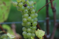 SORELI_04_09_22-10
