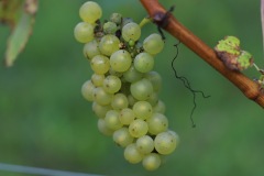 SORELI_04_09_22-12