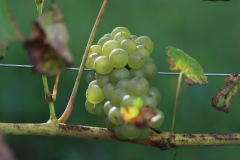 SORELI_04_09_22-15