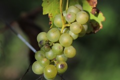 SORELI_04_09_22-3