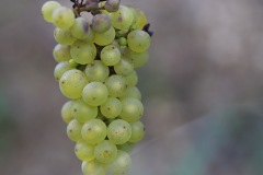 SORELI_04_09_22-4