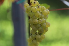 SORELI_04_09_22-5