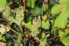 SORELI_04_09_22-6