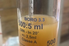 VENDEMMIE_2023-4